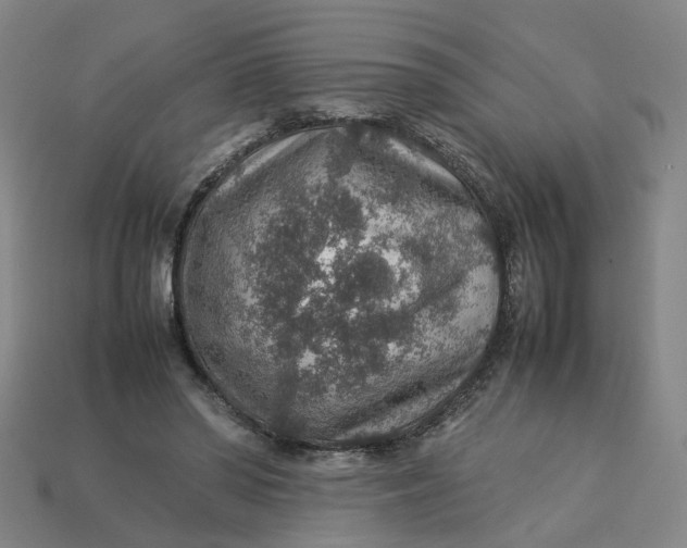 X0000113310398200910051108