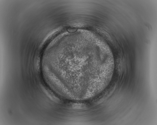 X0000113310400200910051108