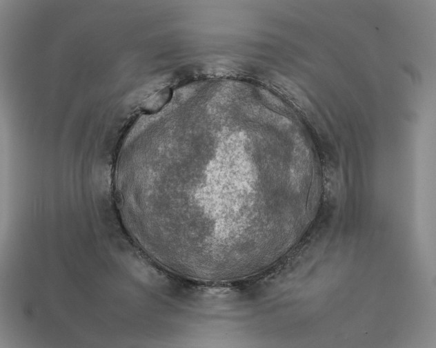 X0000113310401200910051108