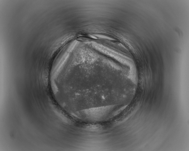 X0000113310402200910051108