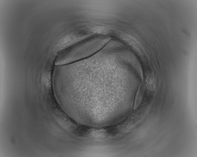 X0000113310403200910051108