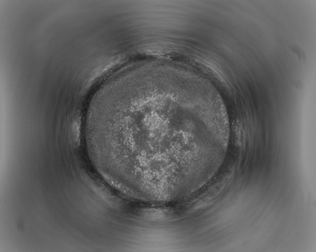 X0000113310404200910051108