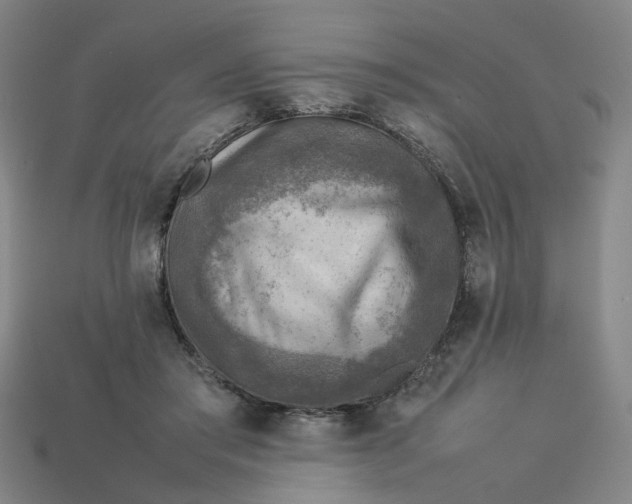 X0000113310405200910051108