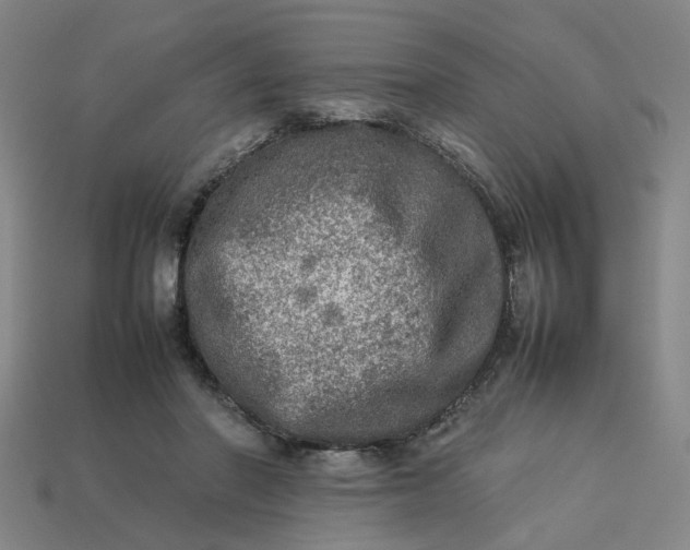 X0000113310406200910051108