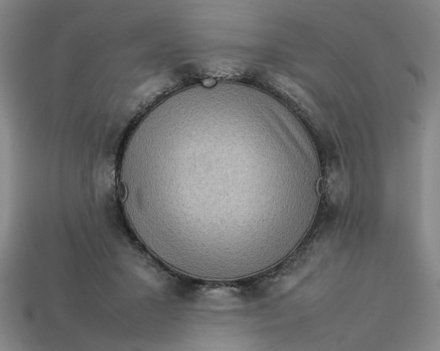 X0000113310407200910051108