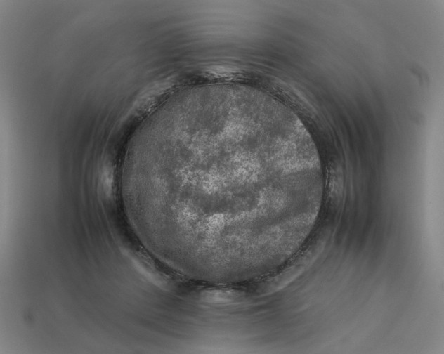 X0000113310408200910051108