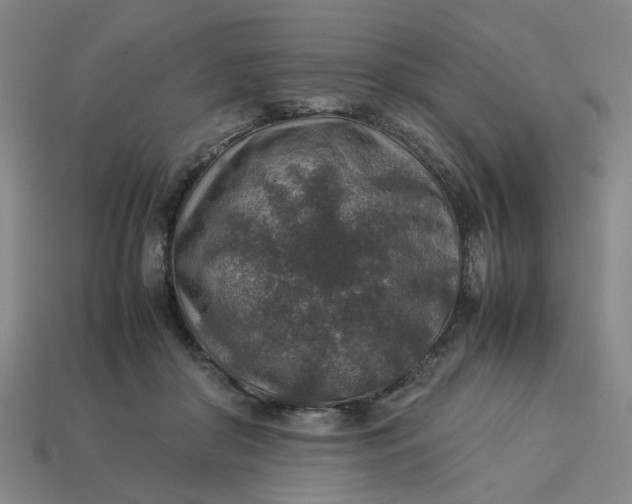 X0000113310410200910051108