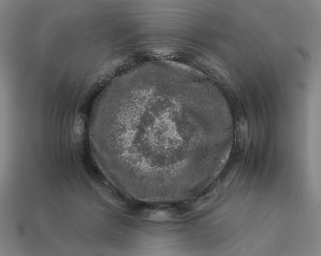 X0000113310412200910051108