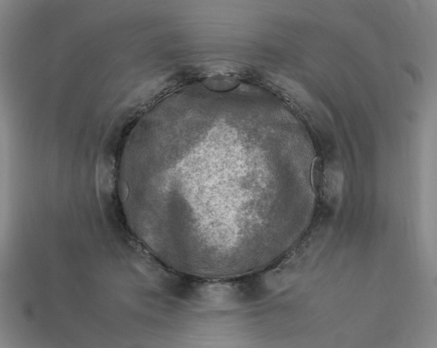 X0000113310413200910051108