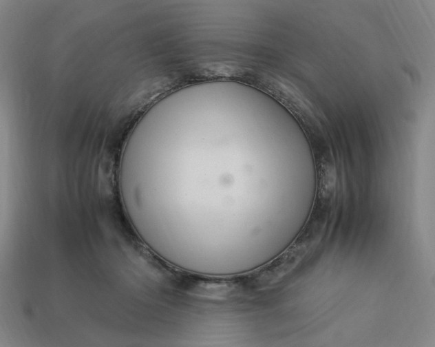 X0000113310414200910051108