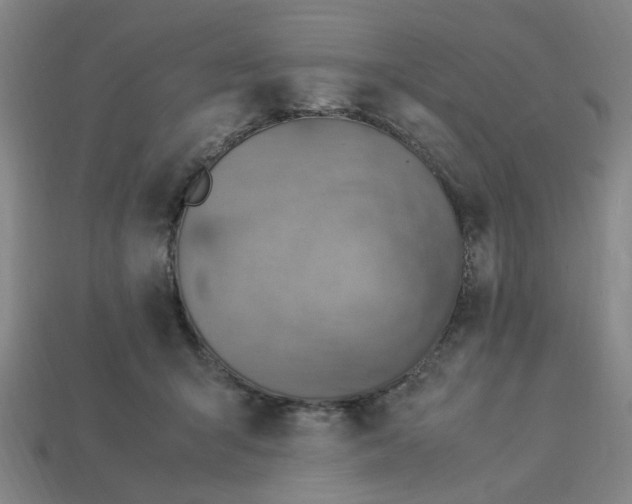 X0000113310415200910051108