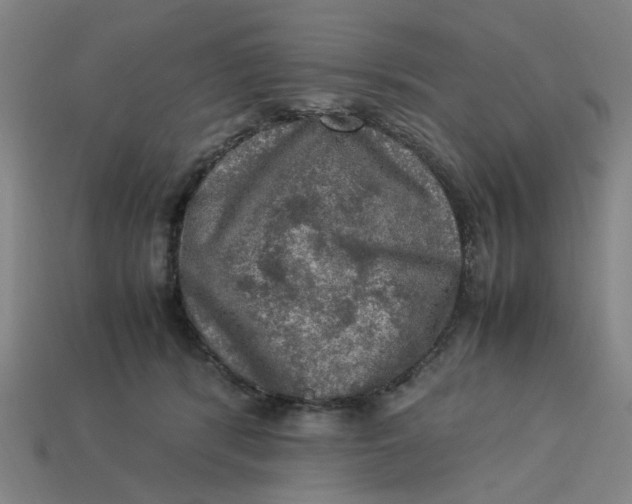 X0000113310416200910051108