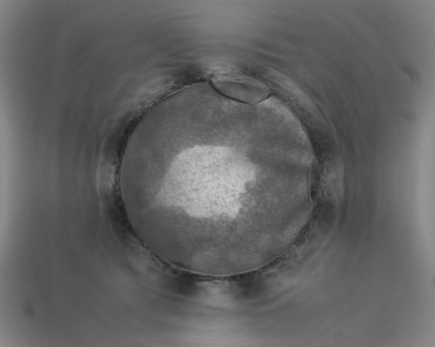 X0000113310417200910051108