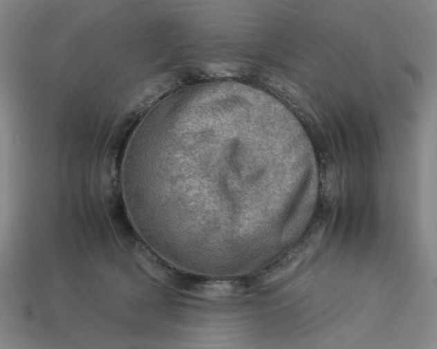 X0000113310418200910051108