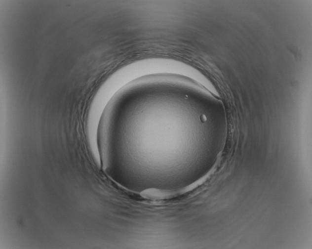 X0000113310419200910051108