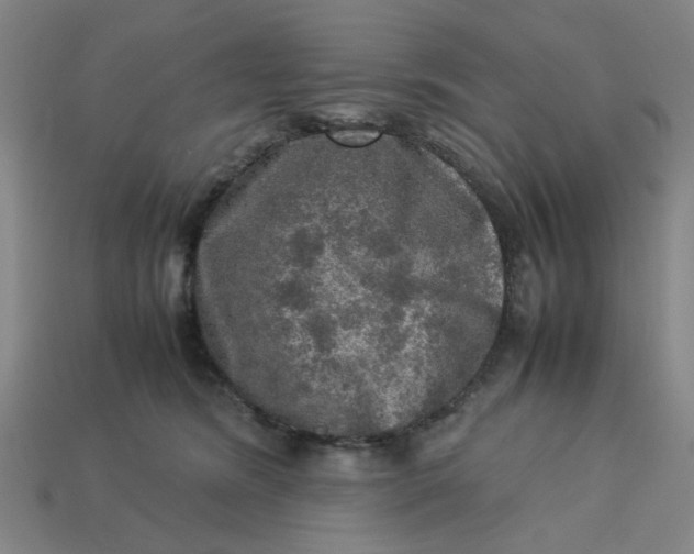 X0000113310420200910051108