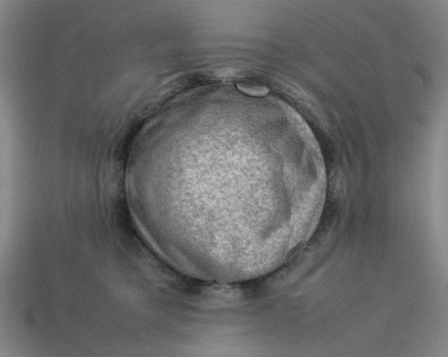 X0000113310421200910051108