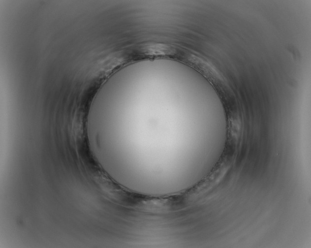 X0000113310422200910051108