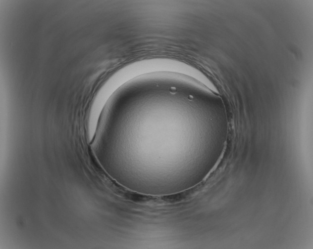 X0000113310423200910051108