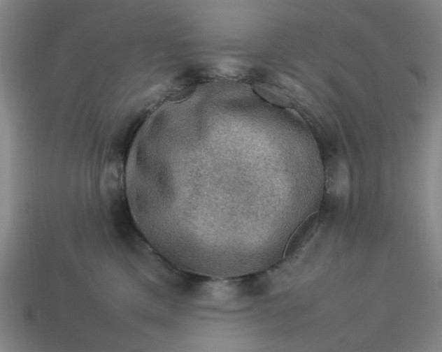 X0000113310425200910051108