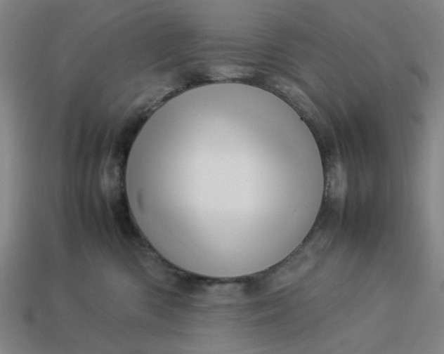 X0000113310426200910051108