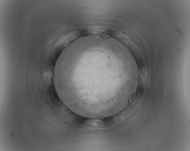 X0000113310427200910051108