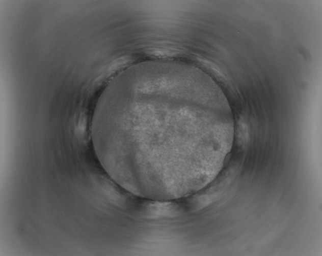 X0000113310428200910051108