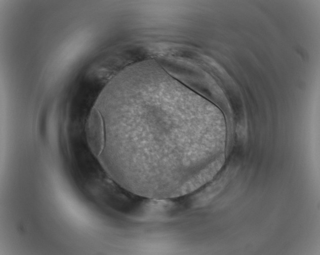 X0000113310429200910051108