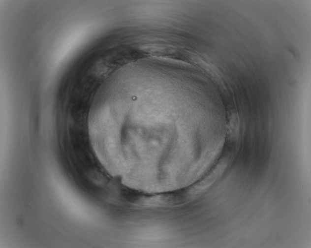 X0000113310430200910051108