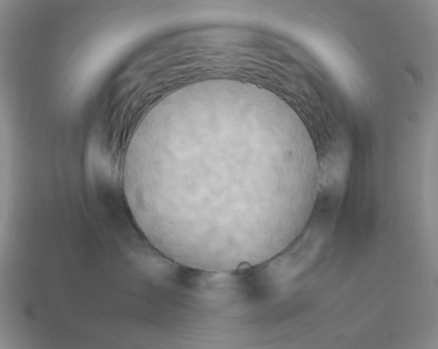 X0000113310431200910051108