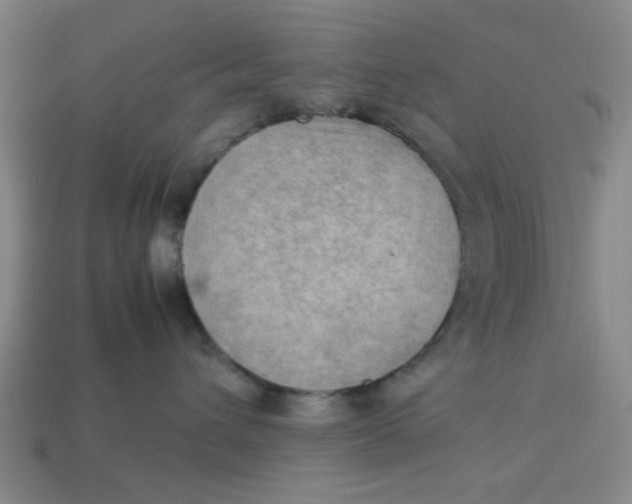 X0000113310432200910051108