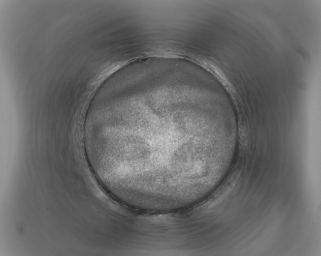 X0000113310433200910051107