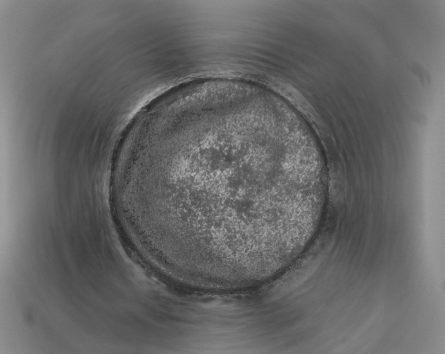 X0000113310434200910051107