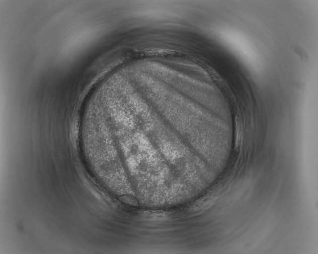 X0000113310435200910051107