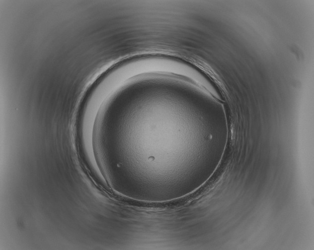 X0000113310436200910051107