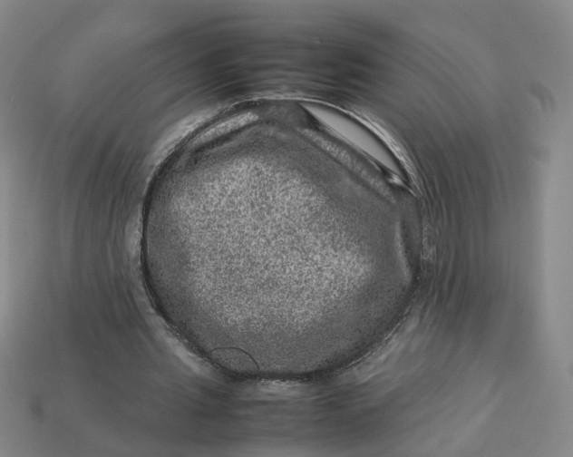 X0000113310437200910051107