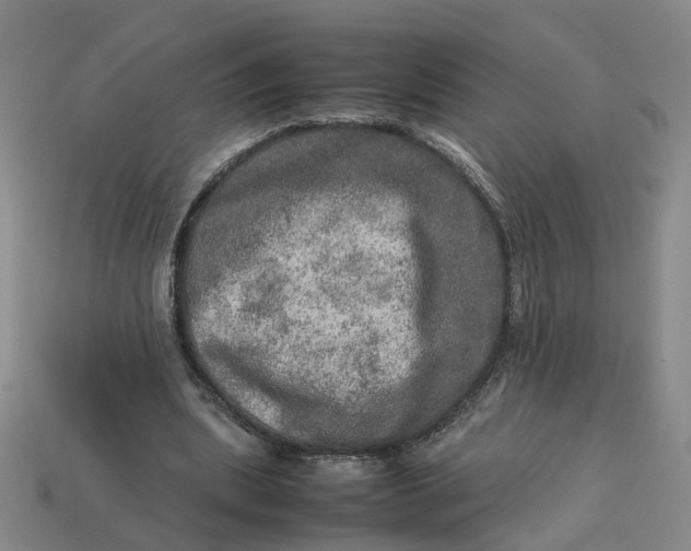 X0000113310439200910051107