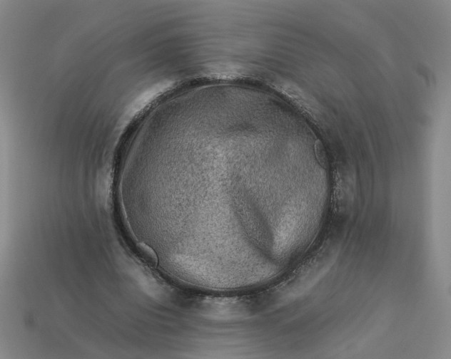 X0000113310440200910051107