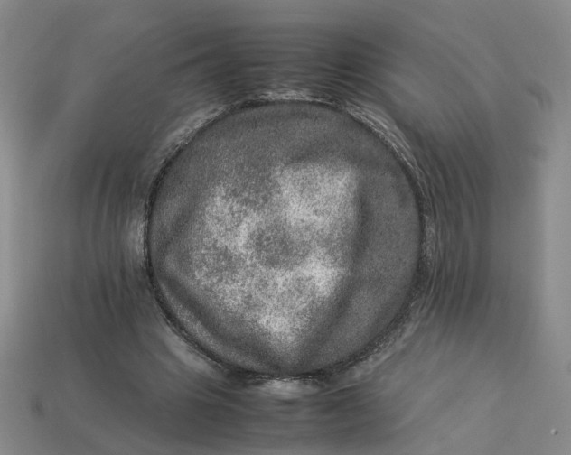 X0000113310441200910051107