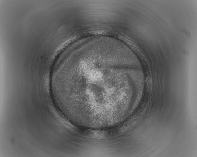 X0000113310442200910051107