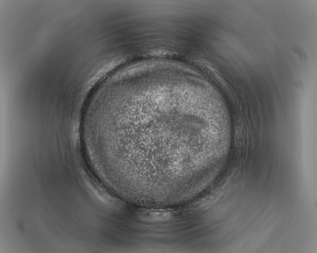 X0000113310443200910051107