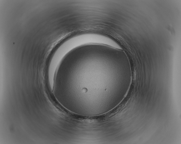 X0000113310444200910051108