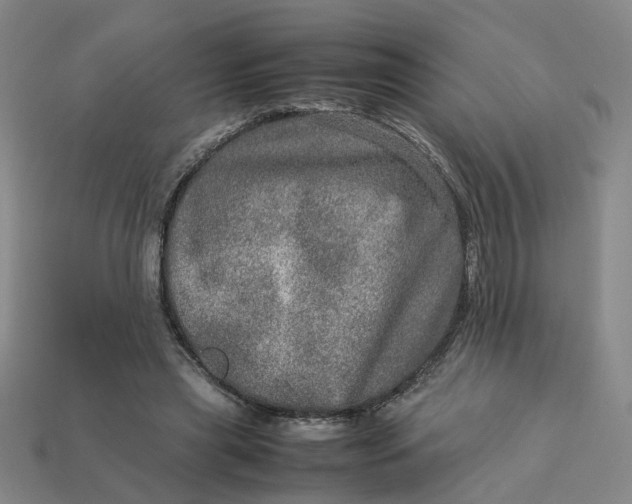 X0000113310445200910051108