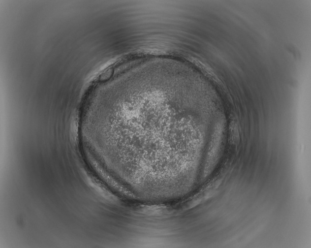 X0000113310446200910051108