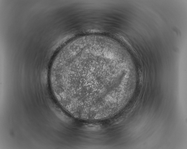 X0000113310447200910051108