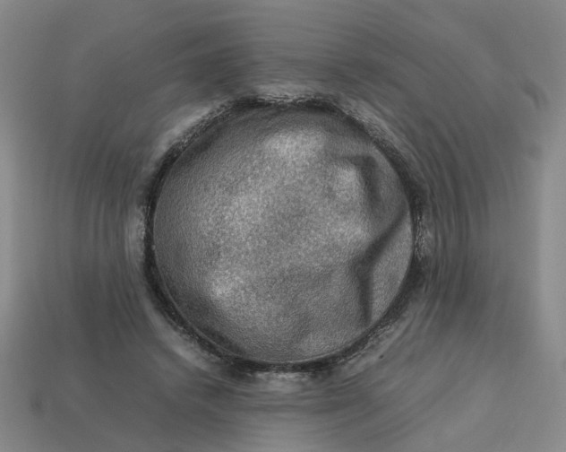 X0000113310448200910051108