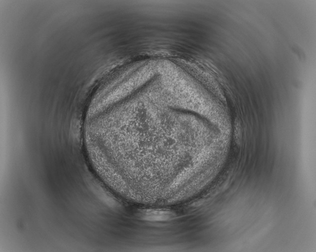 X0000113310449200910051108