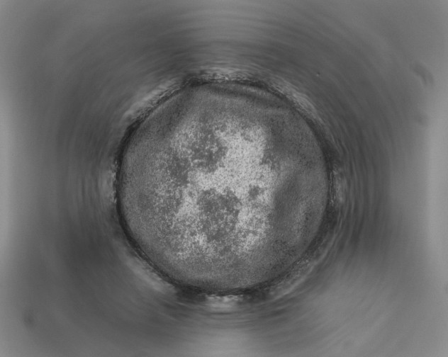 X0000113310450200910051108