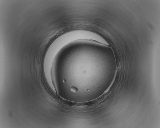 X0000113310452200910051108