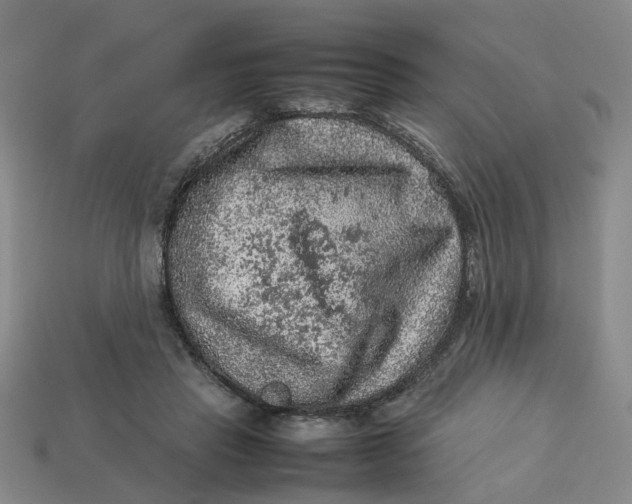 X0000113310453200910051108